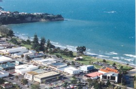 Browns Bay aerial view