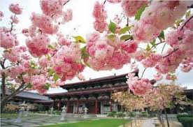 Fo Guang Shan Bussist Temple