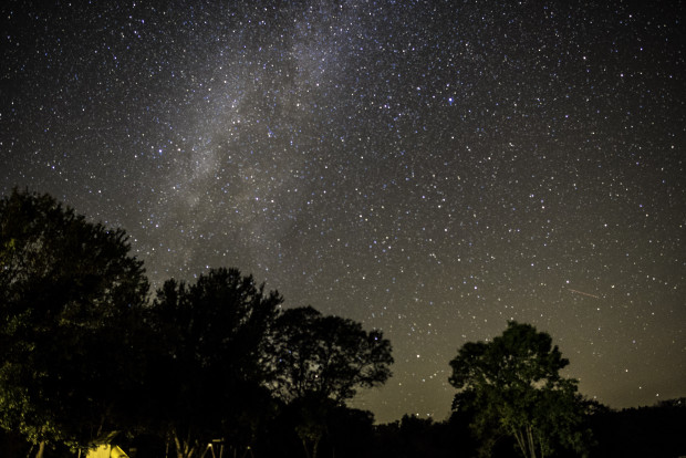stars-and-milky-way-above-the-trees-at-blackhawk-lake-recreation-area-wisconsin