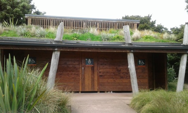 トイレの「生きた屋根」（Living Roof)は、雨水を効率よく浄化し、下の植物へ必要な分だけ供給されるシステムだそうです。