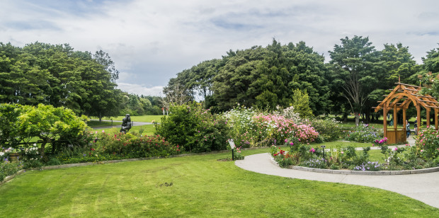 Auckland_Botanic_Gardens_35